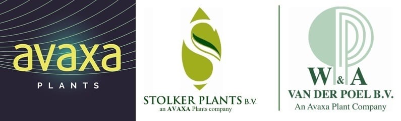 Avaxa Plants, Stolker Plants en Van der Poel B.V.