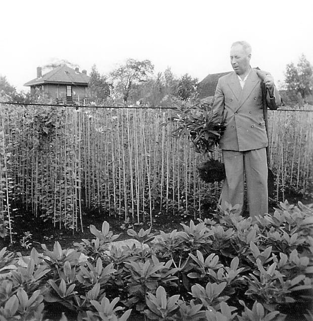 Historische zwart-witfoto van de boomkwekerij waaruit Avaxa Plants is voortgekomen.